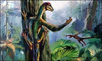 Microraptor